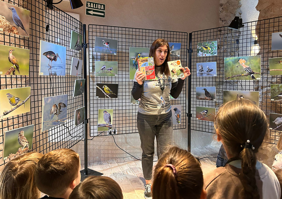 La riqueza ornitológica de La Marina sobrevolará 14 municipios de la comarca