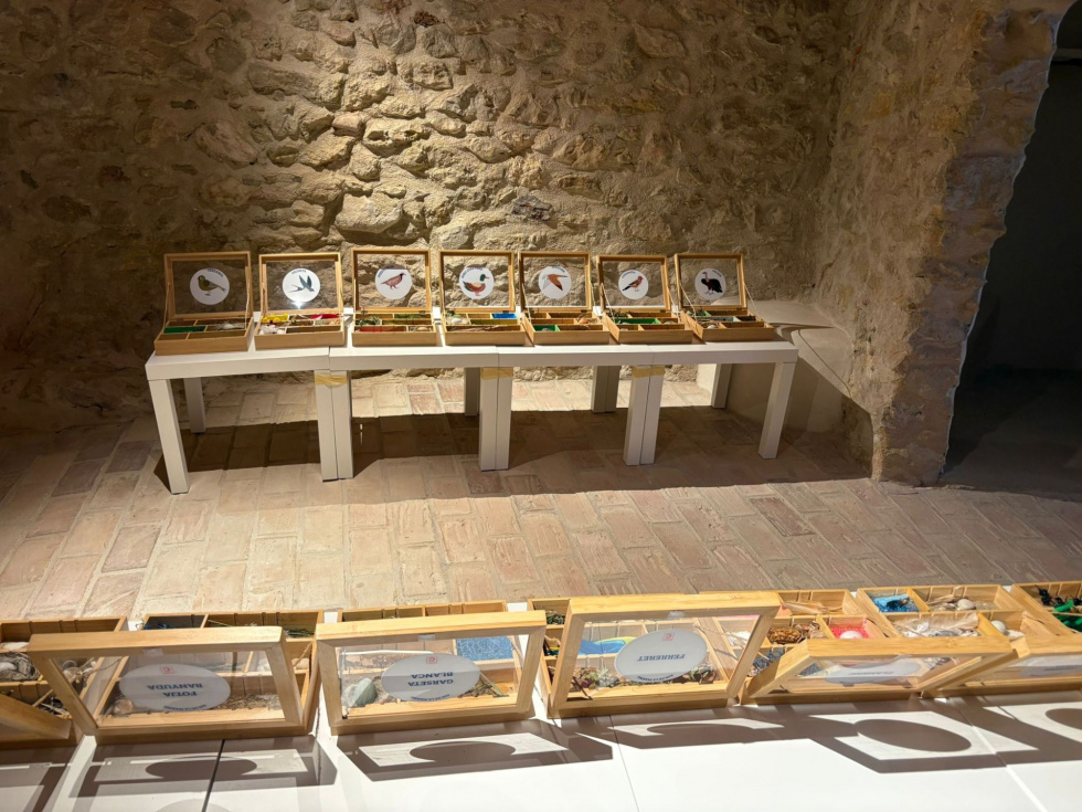 L’Atzúbia acerca la riqueza ornitológica de la Marina Alta con la exposición itinerante ‘Aus de la Marina Alta’